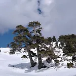 Dimora Del Corso Penzion 4*