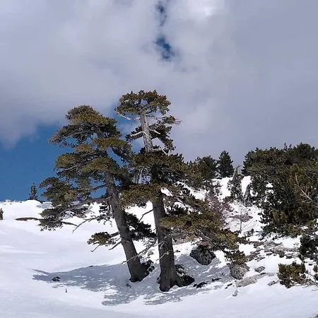 Dimora Del Corso Gæstehus 4*