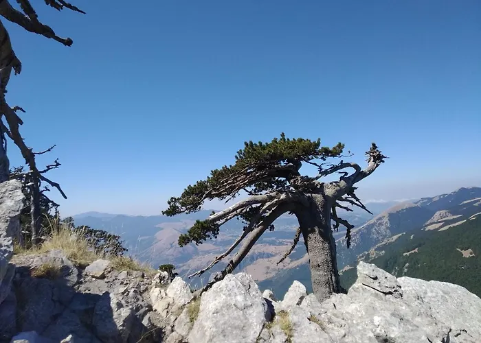 Dimora Del Corso Casa de hóspedes