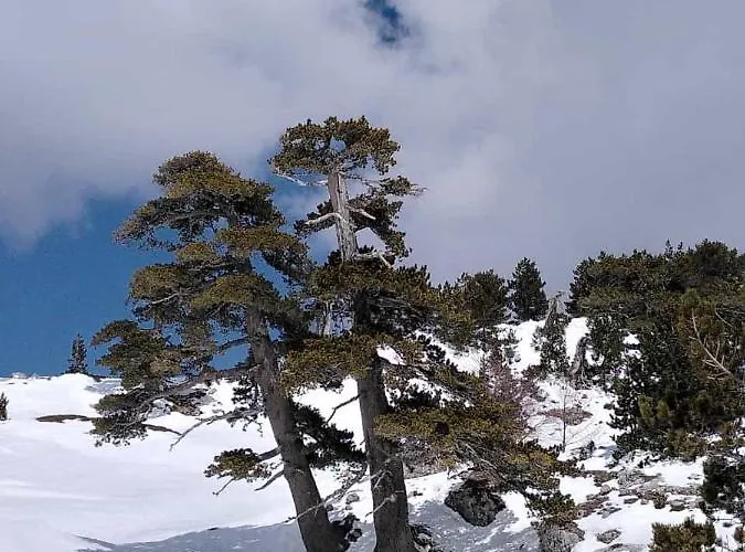 Dimora Del Corso Casa de hóspedes 4*