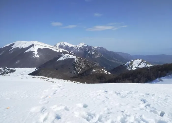 Guest house Dimora Del Corso 4*